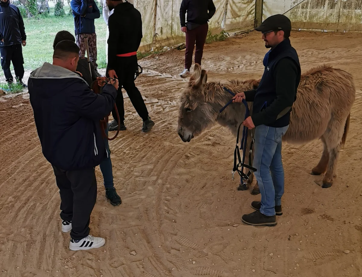 Ama Aquilone e Fondazione La Speranza insieme per formare nuovi coadiutori dell’asino negli interventi assistiti con animali