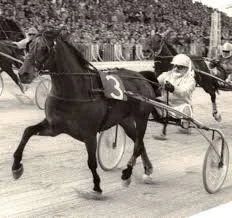 Il trotto del “San Paolo” nel segno dei miti della Formula 1