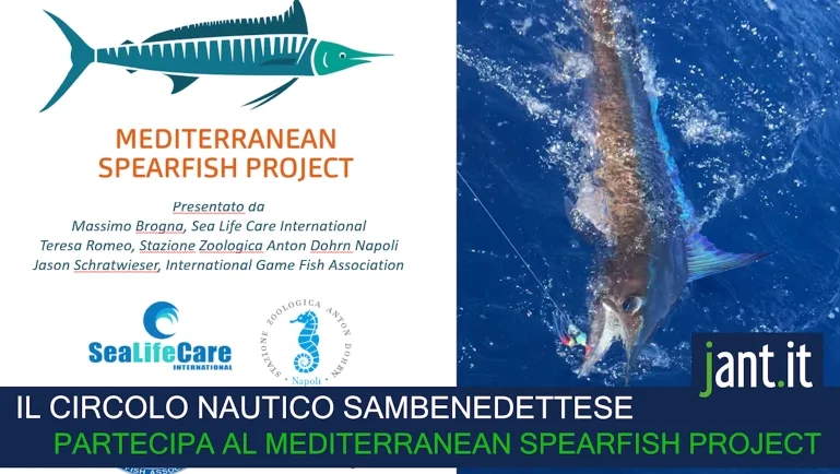 INTERVISTA AL CONSIGLIERE DEL CIRCOLO NAUTICO SAMBENEDETTESE GIACOMO FORTI