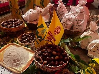 Tre nuove castagne picene e la Farina del Senatore, Coldiretti Ascoli Fermo: “Coltura da riscoprire per lo sviluppo dell’economia montana”