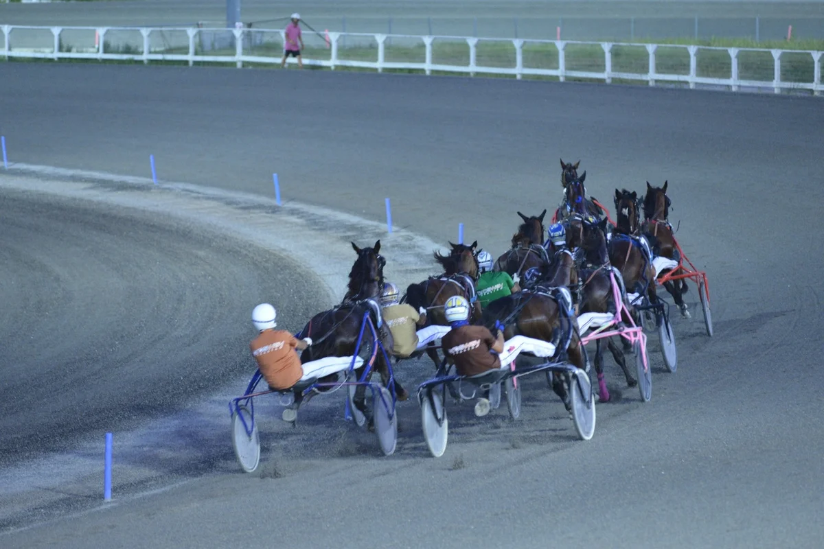 Cresce l’attesa per la finale del Campionato Italiano Guidatori Trotto