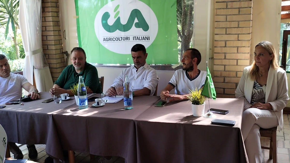 Redditi in caduta, costi alle stelle: l'agricoltura marchigiana chiede risposte immediate