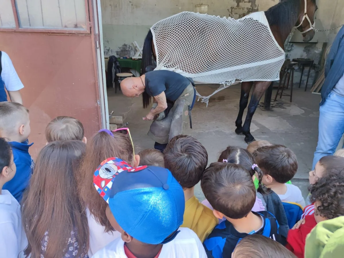 Dalla scuola alla pista, una giornata al fianco dei cavalli per la materna di Montegiorgio