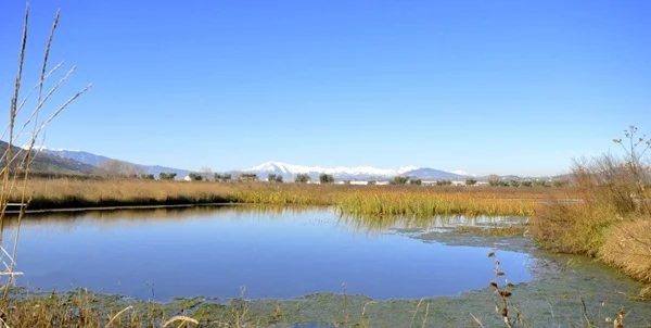 La Riserva Naturale Regionale Sentina si presenta con una nuova immagine coordinata