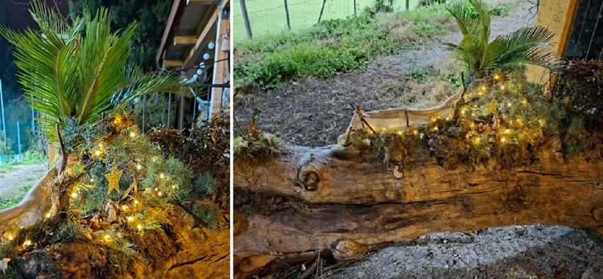 La sorpresa del Presepe allestito sul tronco