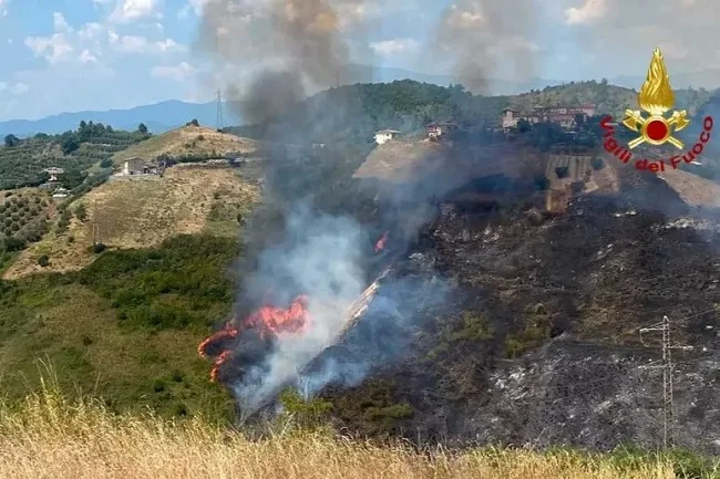 Ad Ascoli incendio a macchia mediterranea e uliveti, fiamme vicine alle case 