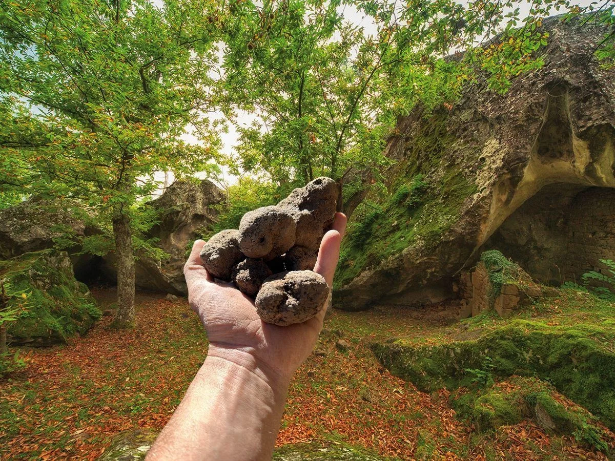 Roccafluvione - Il paese piceno tra i borghi delle Marche che valorizzano il tartufo