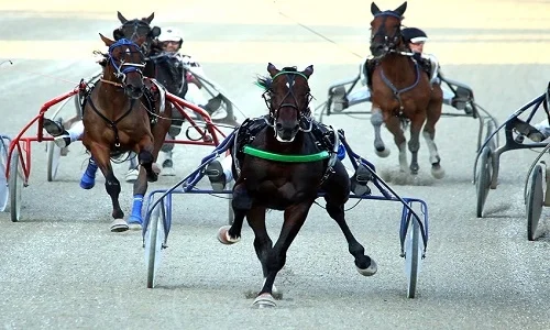L’ippodromo “San Paolo” celebra i grandi padri del Trotto