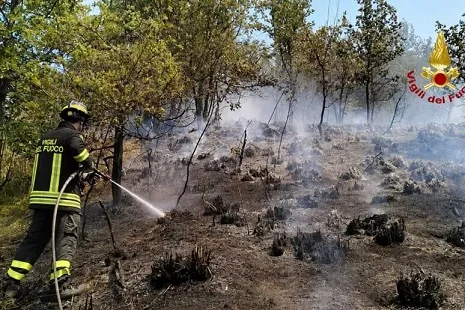 Incendio nella vegetazione a Venarotta, intervento dei Vigili del fuoco 