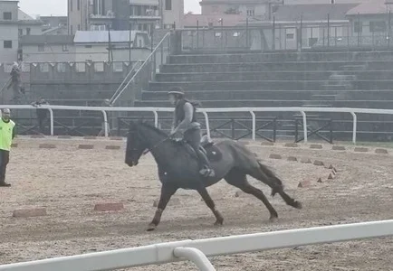 Innocenzi firma la doppietta ad Ascoli Piceno ed apre la stagione dei giochi cavallereschi