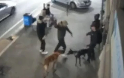 Rapine a mano armata con cani da combattimento e machete, quattro gli arresti