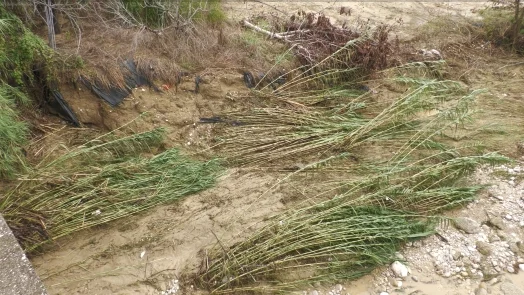 ALLUVIONE 2023: SBLOCCATI 13 MILIONI DI FONDI PER LE MARCHE