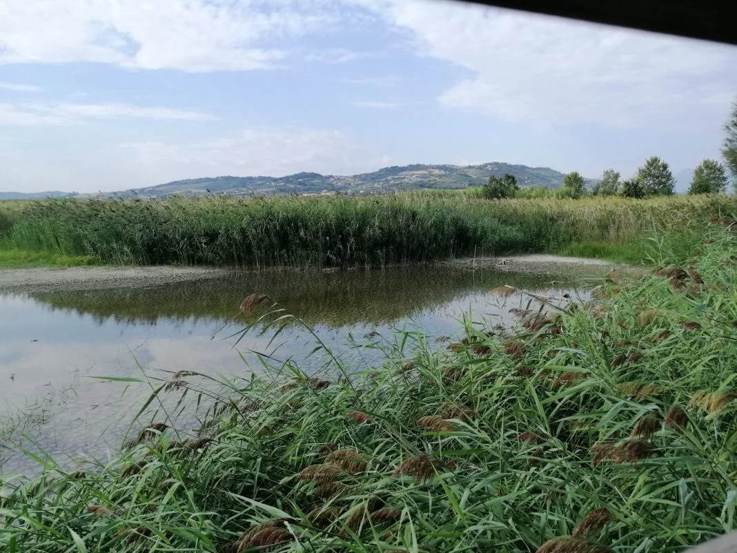 In Sentina un’uscita di birdwatching in compagnia di esperti e fotografi