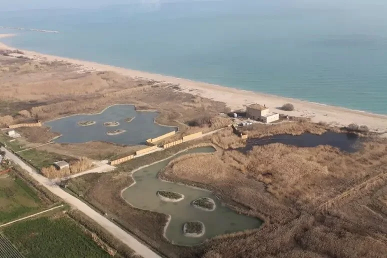A San Benedetto "Blu Sentina" per conservare la biodiversità