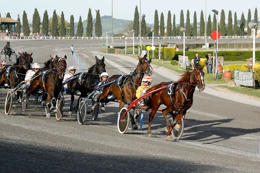 Al “San Paolo” il Gran Premio Marche Elio Mattii