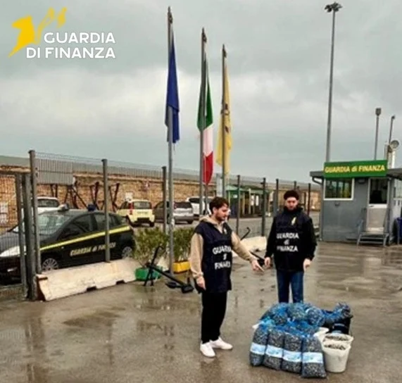 Pescato oltre le quote e venduto in nero, parte del pesce donata alla Caritas