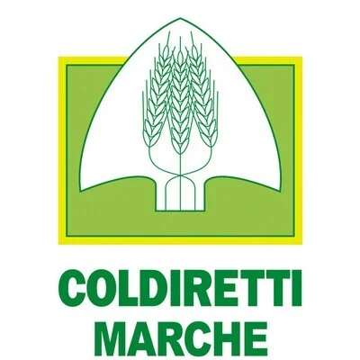 Salgono a 1500 ettari i contratti del girasole marchigiano per biocarburanti, Coldiretti Marche: “Contratti di filiera, come promesso, per garantire il giusto reddito agli agricoltori”