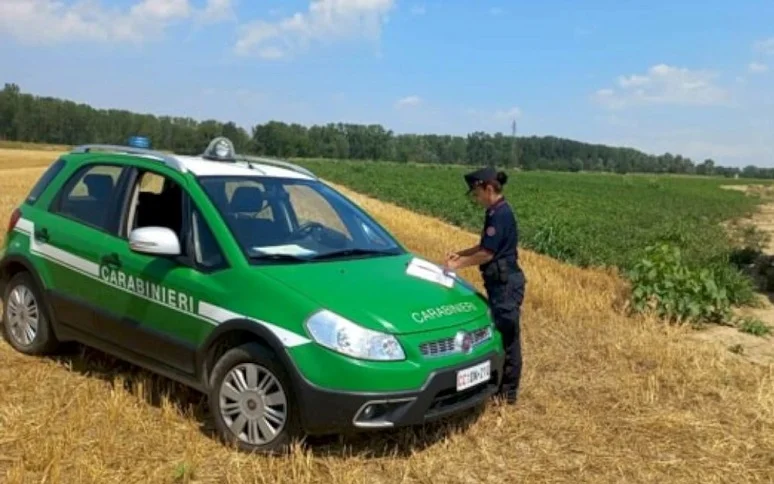Corpo Forestale, riscontrate 13 violazioni per uso di fitofarmaci in agricoltura