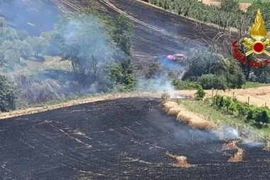 A Montegranaro divampa un vasto incendio in un campo di grano 