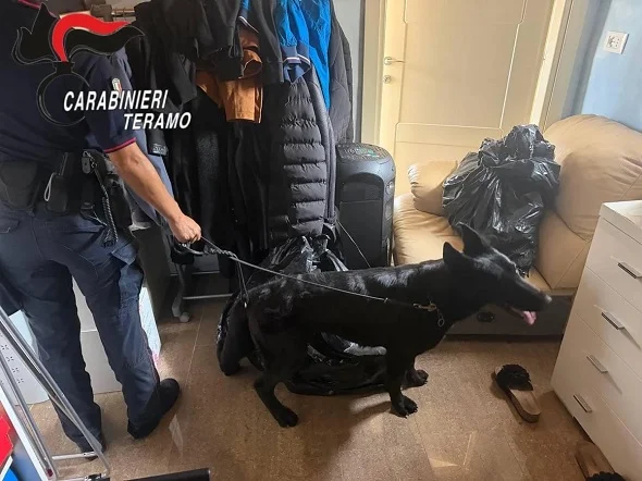 Scoperta cocaina in casa: arrestata a Giulianova una coppia di pusher