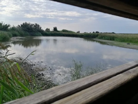 Alla Riserva Sentina un nuovo appuntamento con la storia e la natura