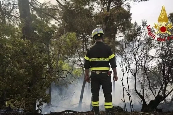 A fuoco un tratto di vegetazione a Pedaso, intervento dei Vigili 