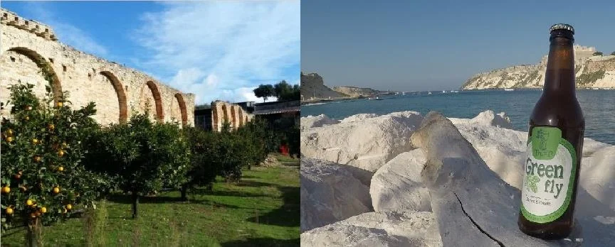“Dalla Vigna alla Tavola”“UnMarediMarche”: per scoprire i Vini e le birre delle Marche dalla Costa ai Borghi