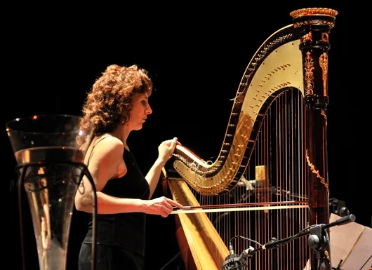 Prossimi appuntamenti del Festival “Nuovi Spazi Musicali”
