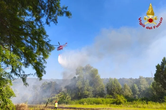 Vasto incendio di sterpaglie vicino a una fabbrica