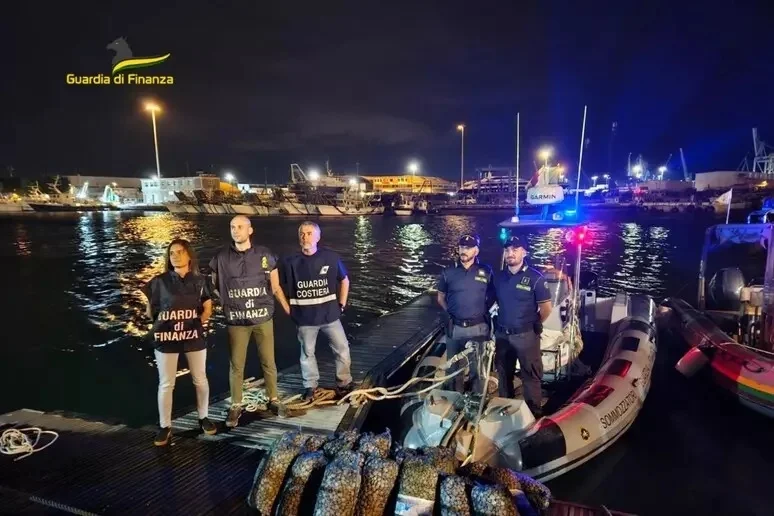 Ennesimo sequestro di vongole, ben 7 quintali pescati illegalmente