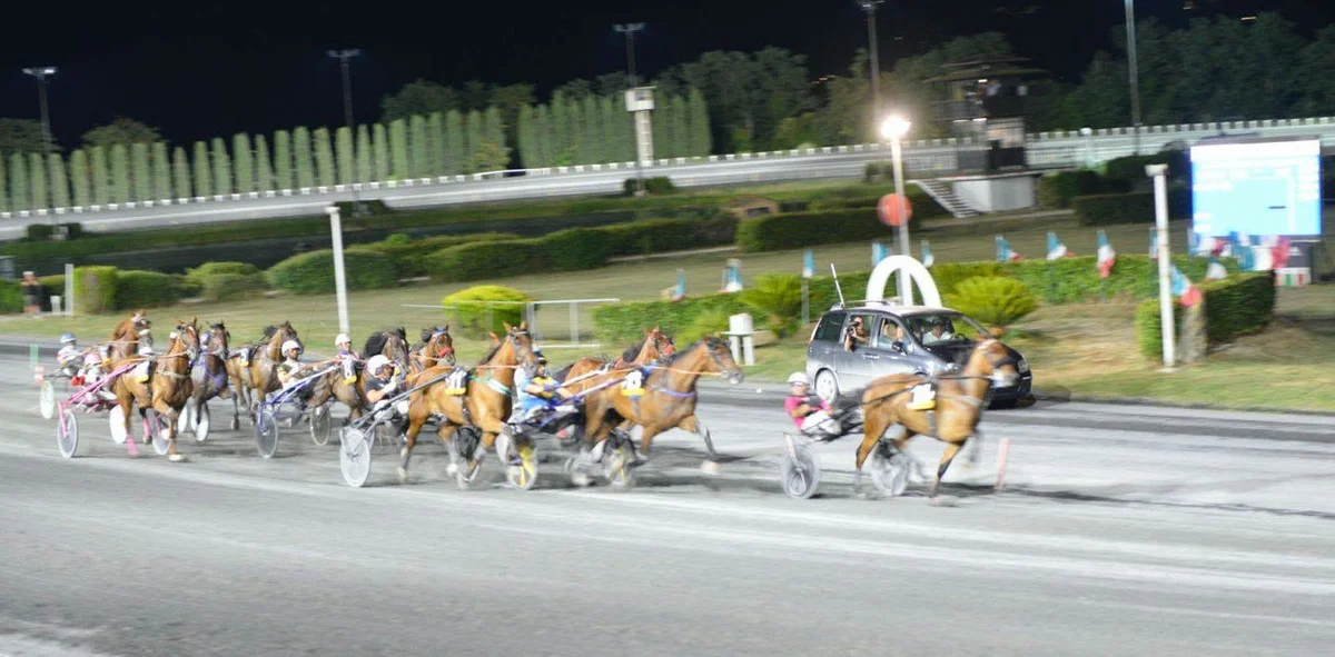 Il “San Paolo” riaccende i motori con le sfide del grande trotto autunnale