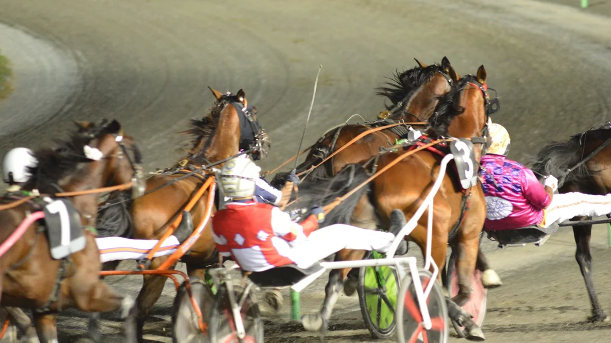 Notte di stelle, tra cavalli e passione calcistica all’ippodromo “San Paolo”