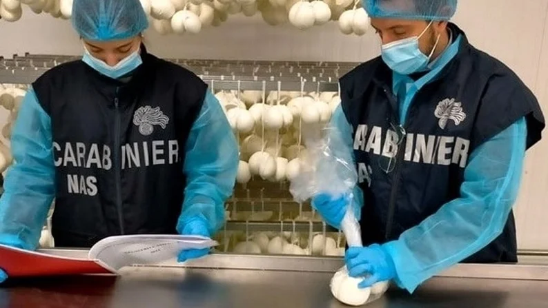 Adulterazione di prodotti caseari nelle Marche, sequestri da parte dei Nas