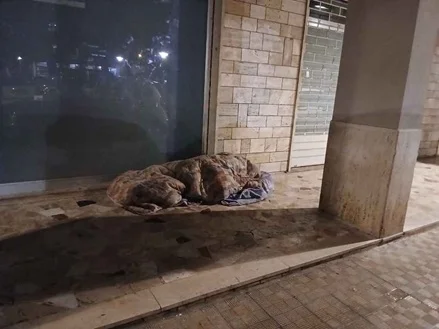 Si pone l'attenzione sul caso del cittadino che dorme sul pavimento del porticato dell'Istituto del Divino Amore in Piazza Cristo Re
