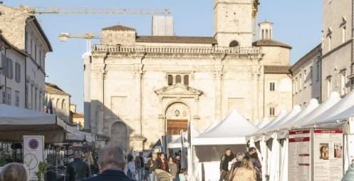 Ascoli Piceno - Estate agli sgoccioli, si pensa già ai dehors: ecco le regole da rispettare