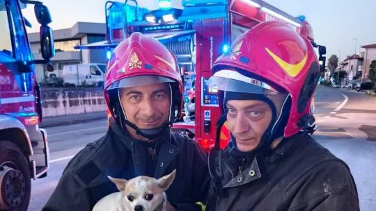 Incendio in un'abitazione ad Alba Adriatica: evacuato il fabbricato, cinque persone soccorse, in salvo il cagnolino